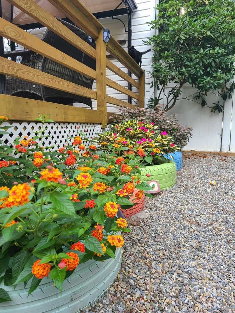 Random Tire Planters