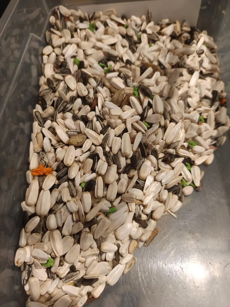 Safflower Seed Stations