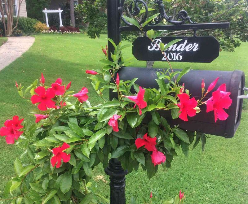 Add A Decorative Mailbox Garden