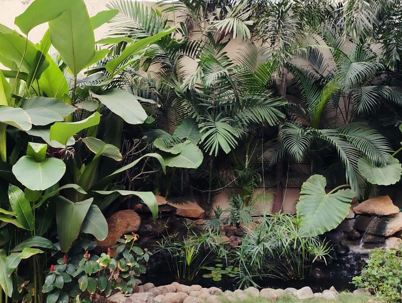 Create A Tropical Corridor