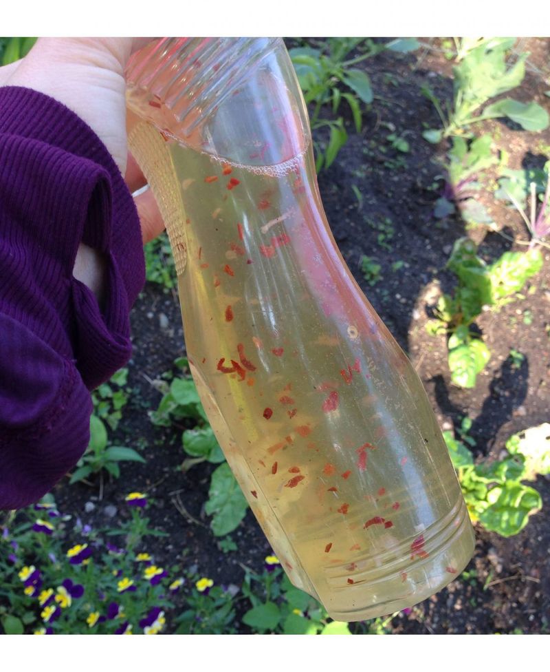 Spray Diluted Hot Sauce Solution