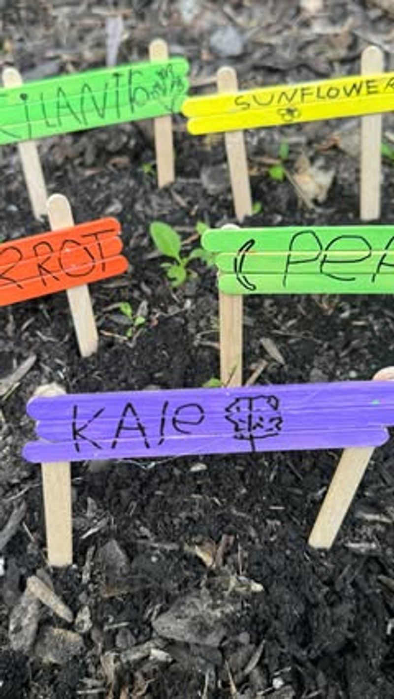 Craft Garden Plant Markers