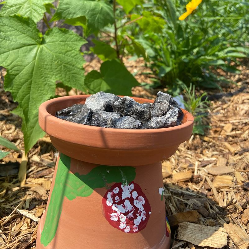 Create a Bee Bath