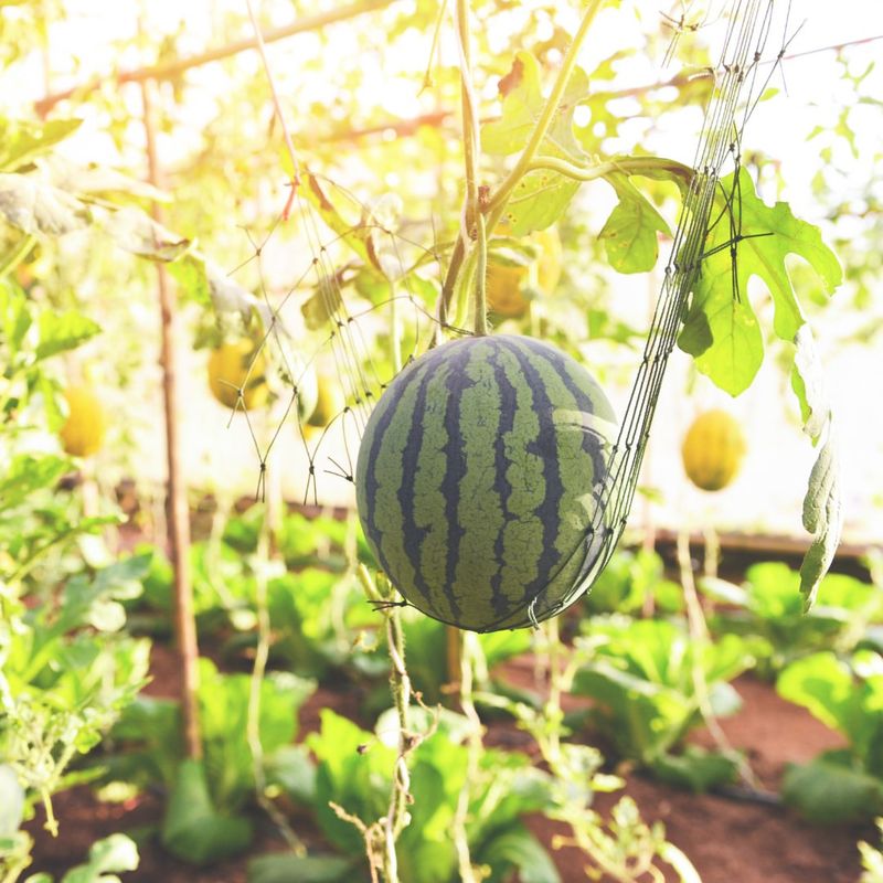 Create Perfect Planting Pockets