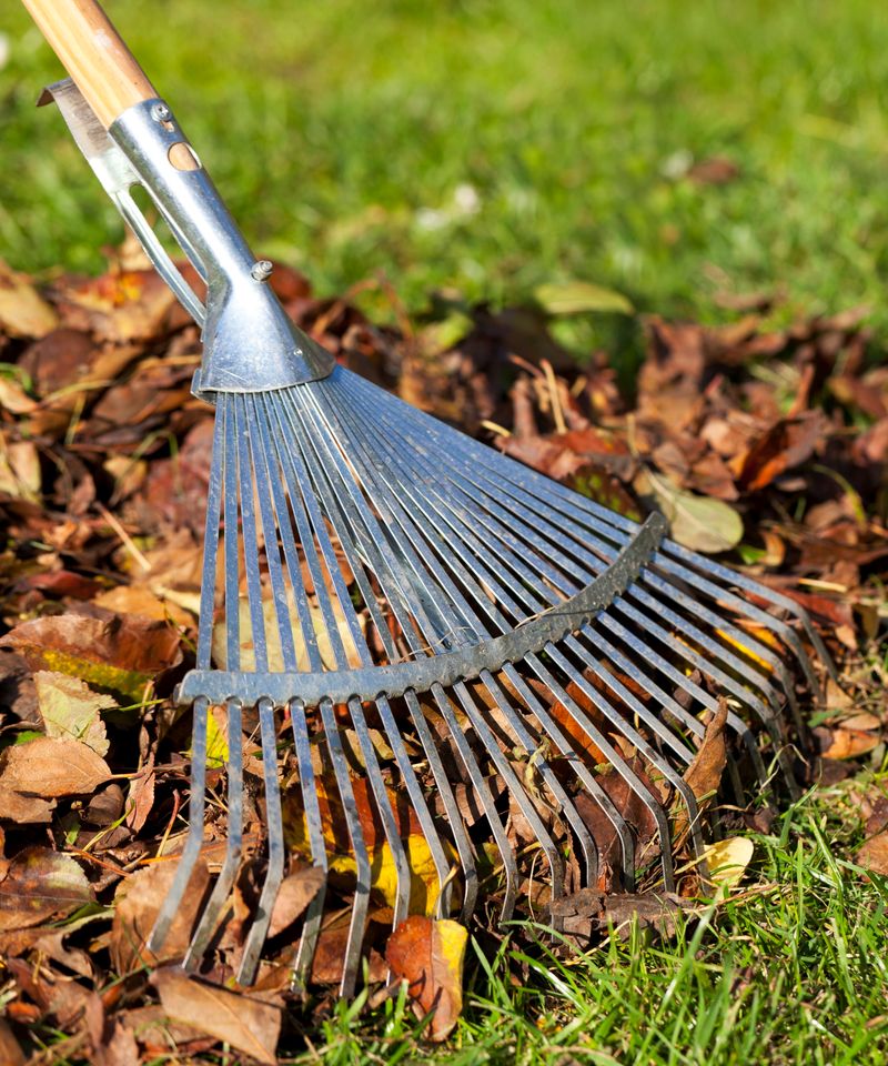 Delicate Leaf Rake