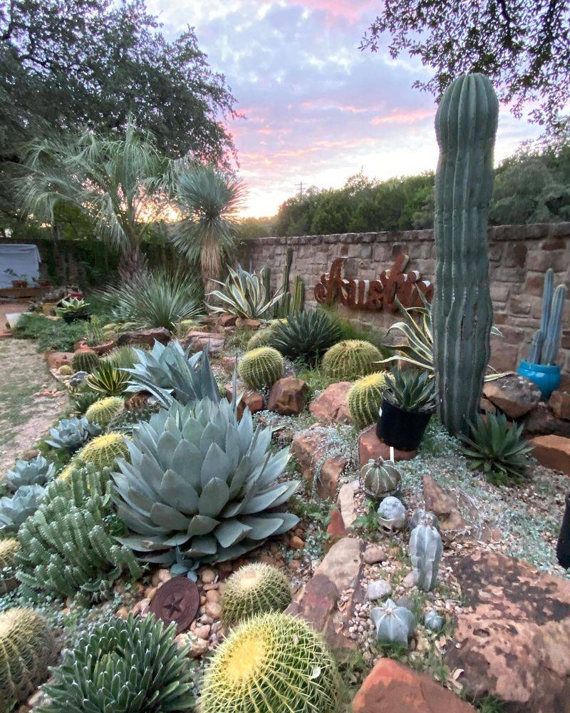 Cactus