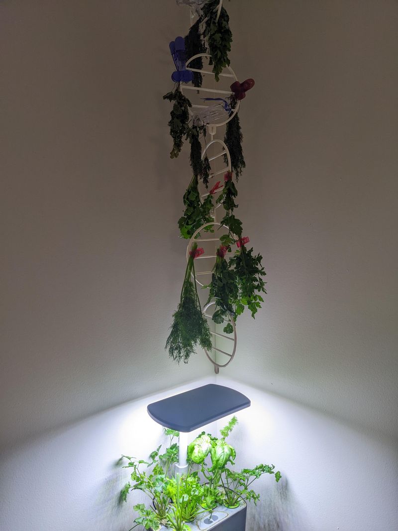 Find The Perfect Drying Spot
