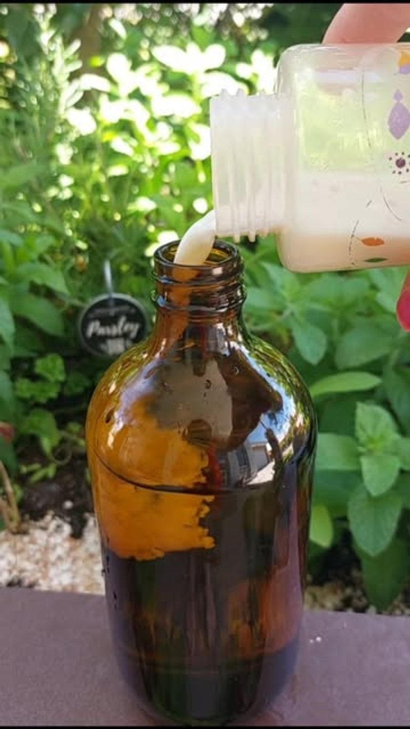 Milk Spray for Powdery Mildew