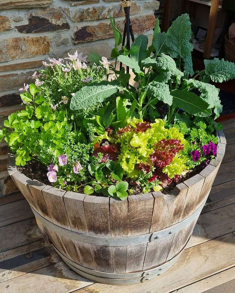 Wine Barrel Planters