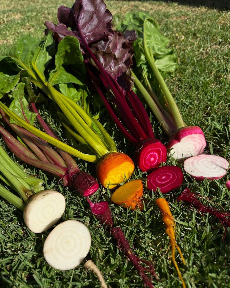 Beets