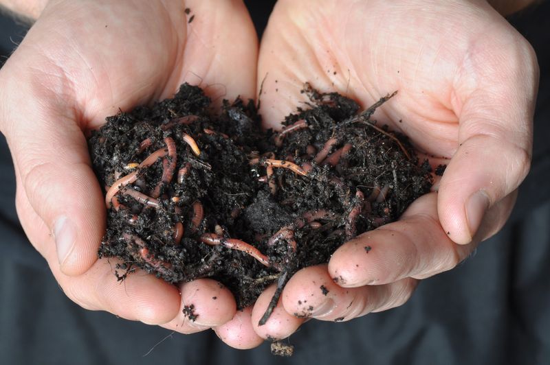 Earth-Moving Earthworms