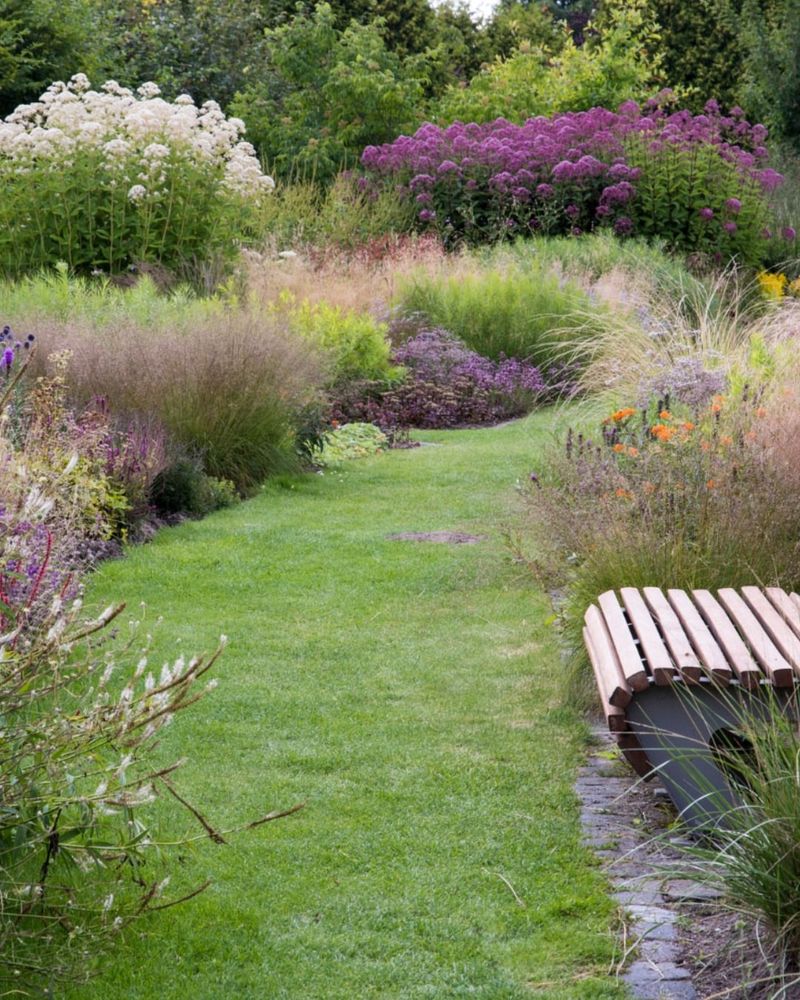 Lawn Reduction Strategy