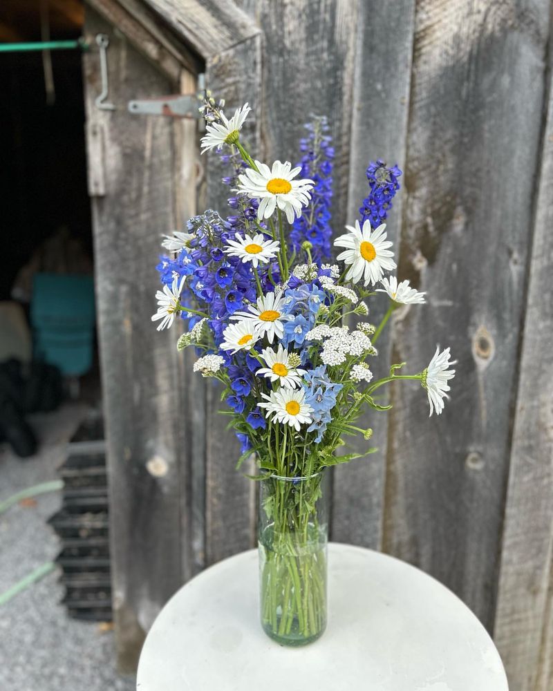 Cut Flower Arrangements