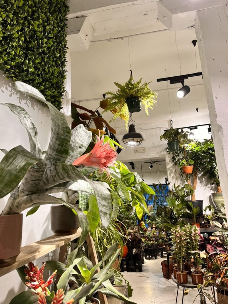 Using Too Many Exotic Plants