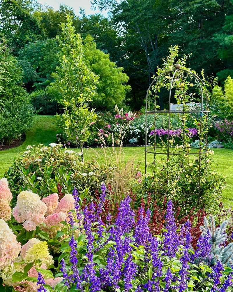 Salvias: Vertical Accents