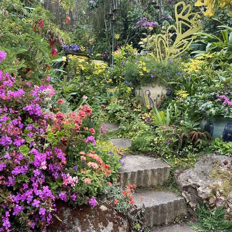 Create Defensible Space