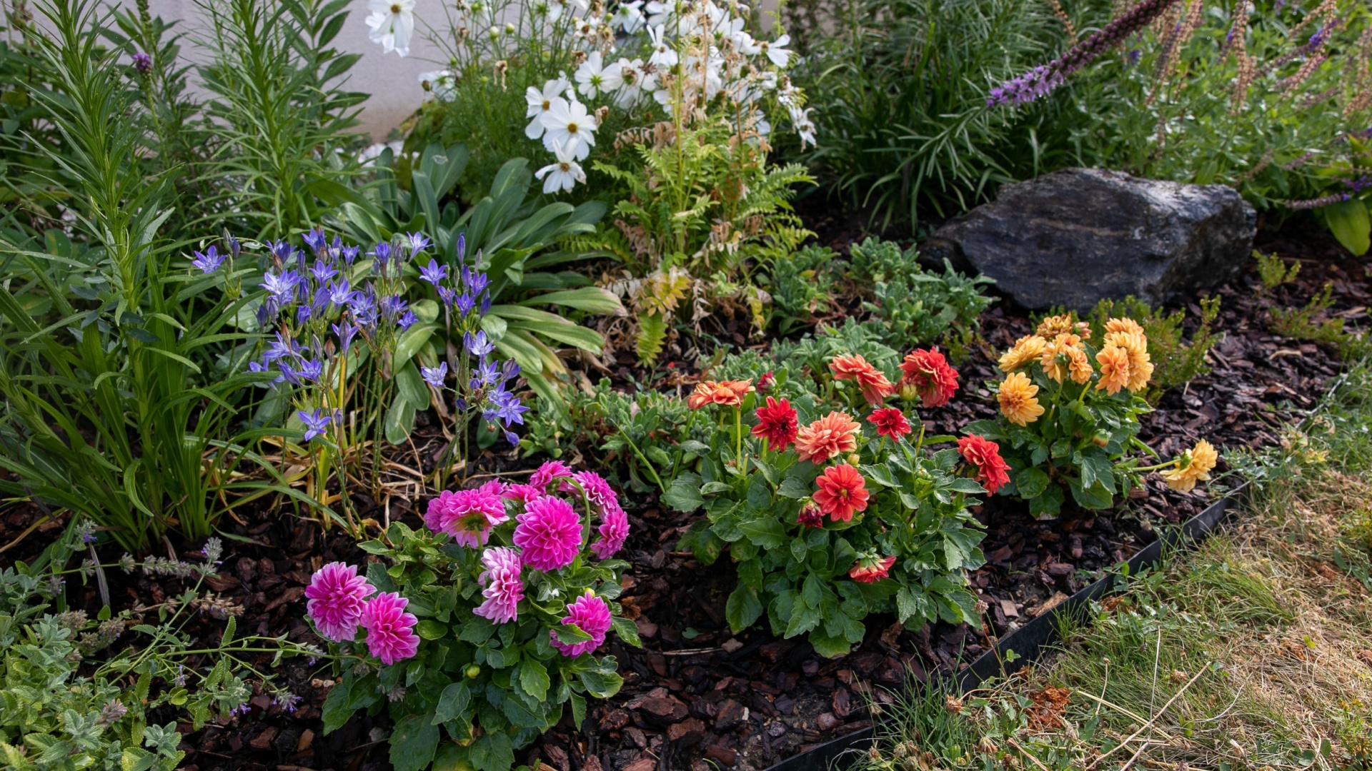 California Gardeners: How to Protect Your Garden from Heat Waves and Wildfires
