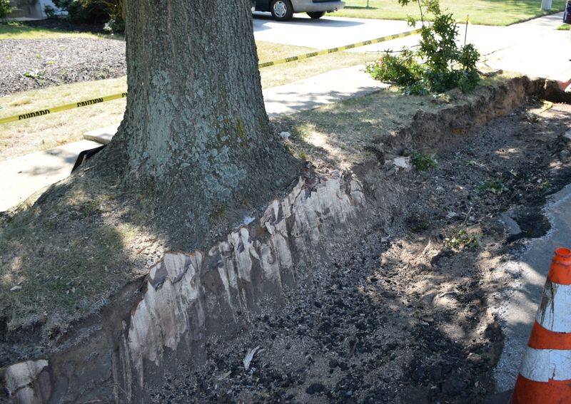 Recent Ground Disturbance