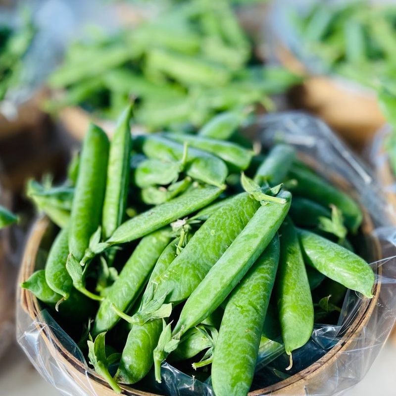 Peas