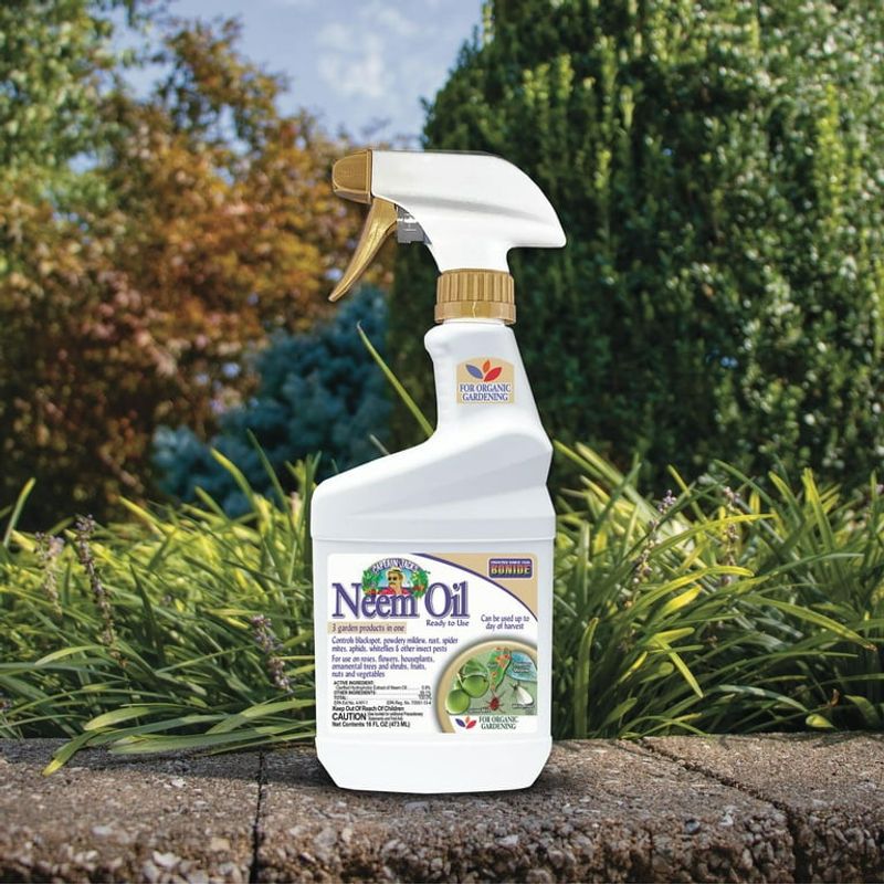 Neem Oil Creates An Uninviting Environment