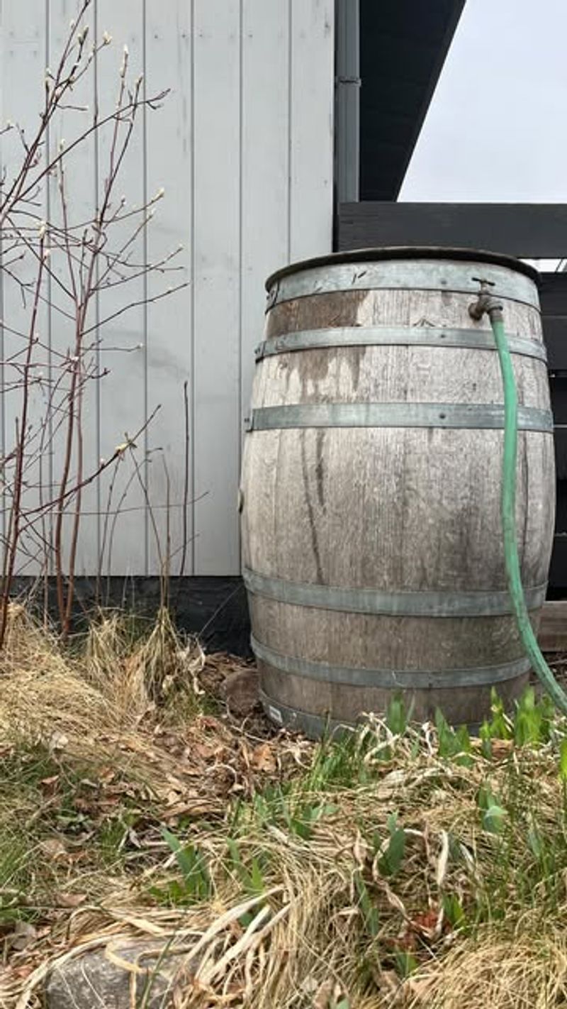 Rain Barrels in Certain Areas