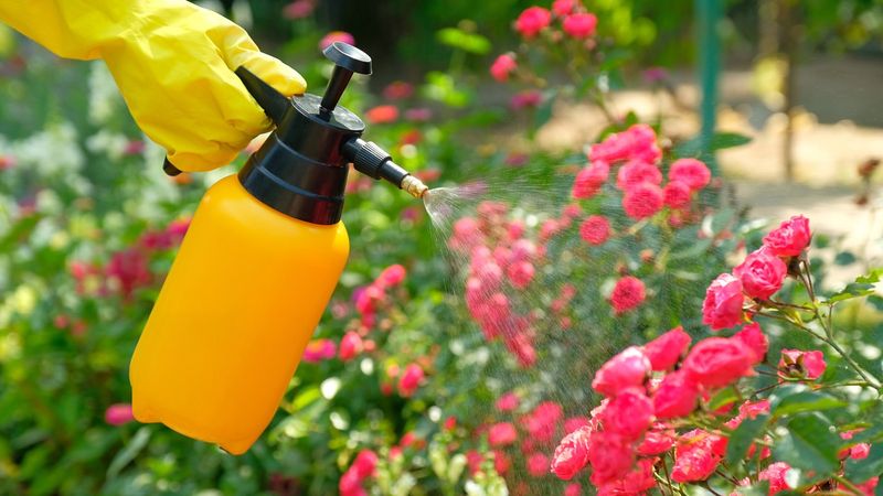 Certain Pesticides and Herbicides