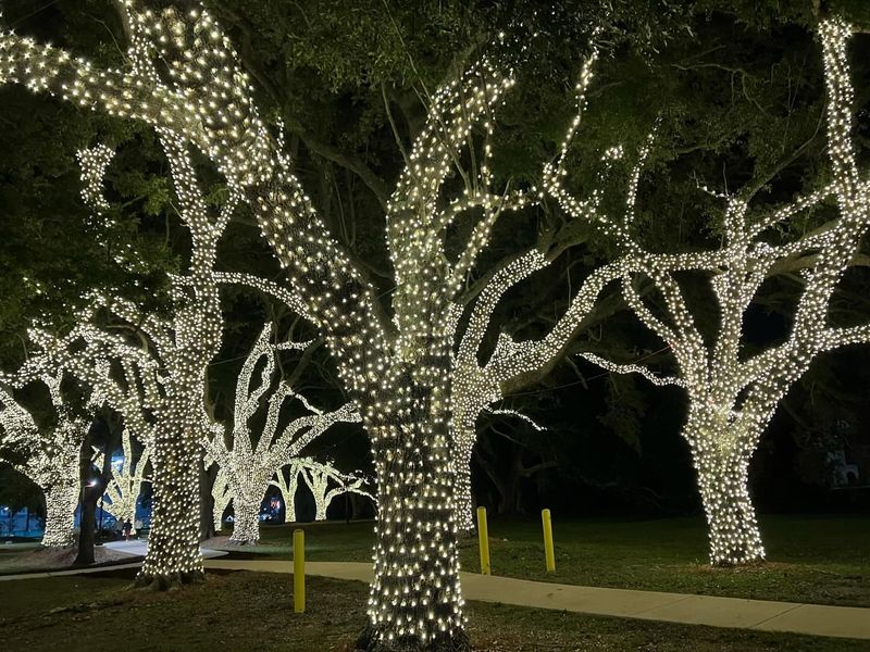Excessive Holiday Lighting