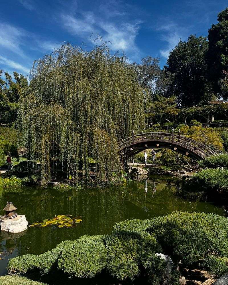 Huntington Botanical Gardens, California