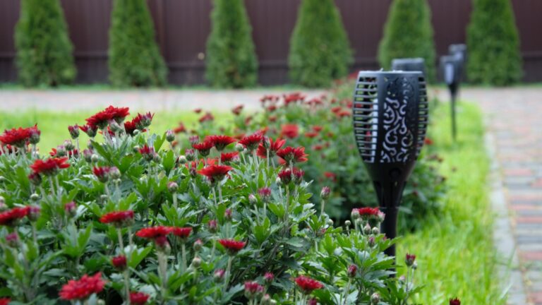 solar light next to a flower bed