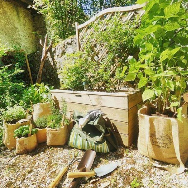Plastic Plant Pots