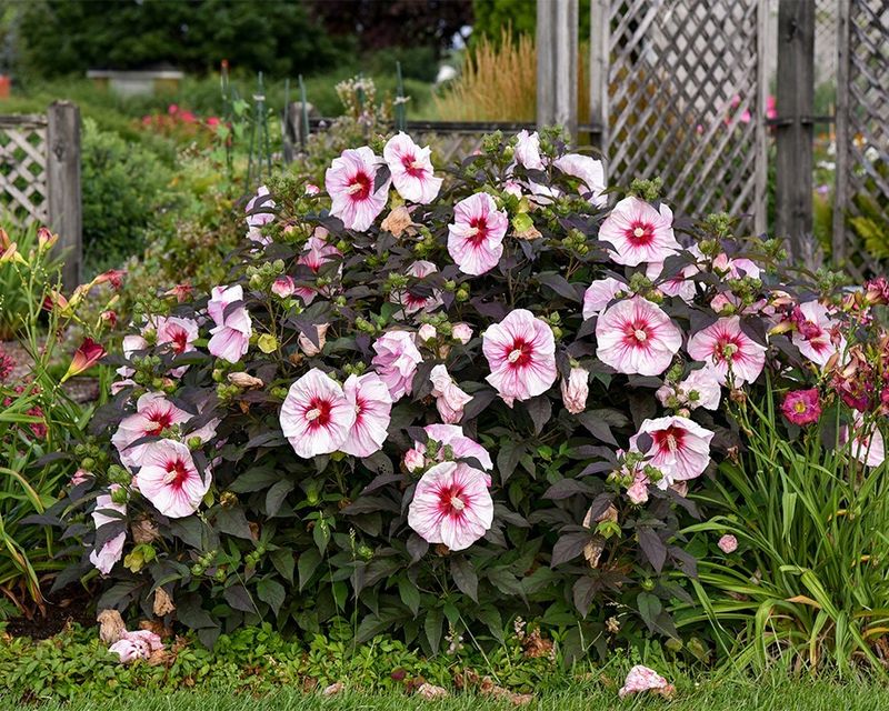 Perfect Your Planting Location