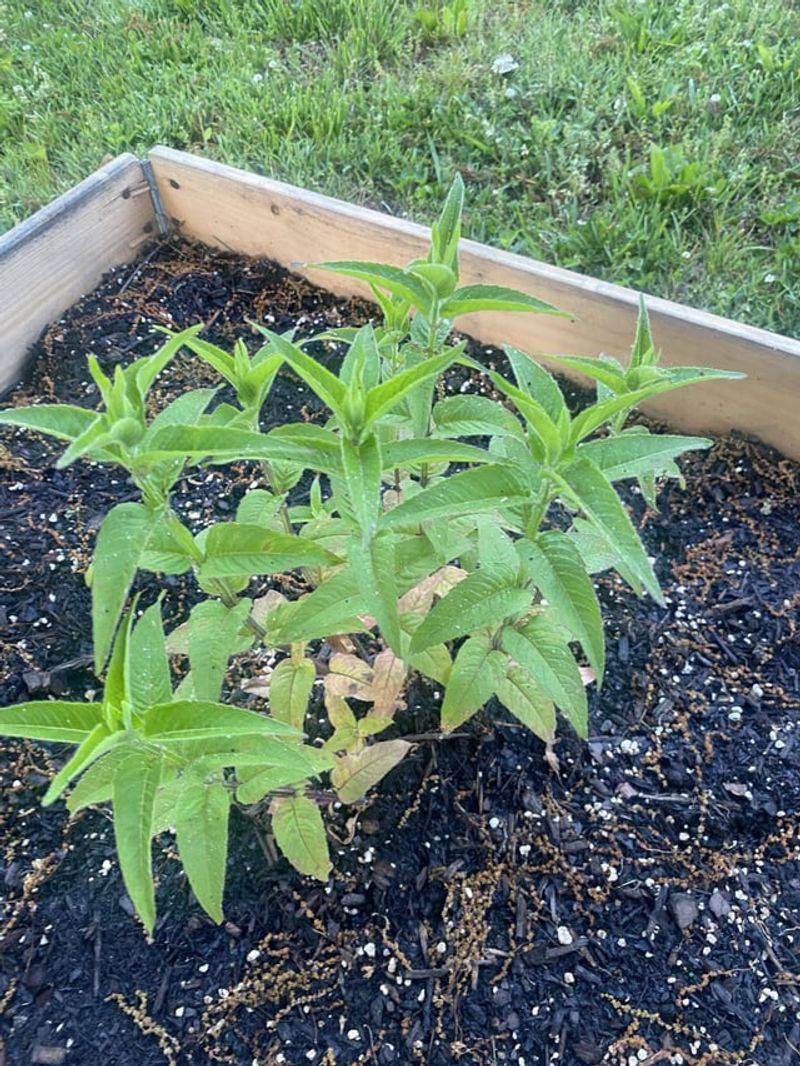 Enrich Your Soil First