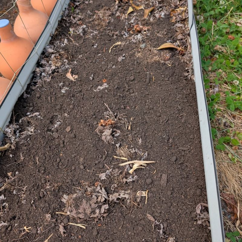 Prepare Soil Before Transplanting