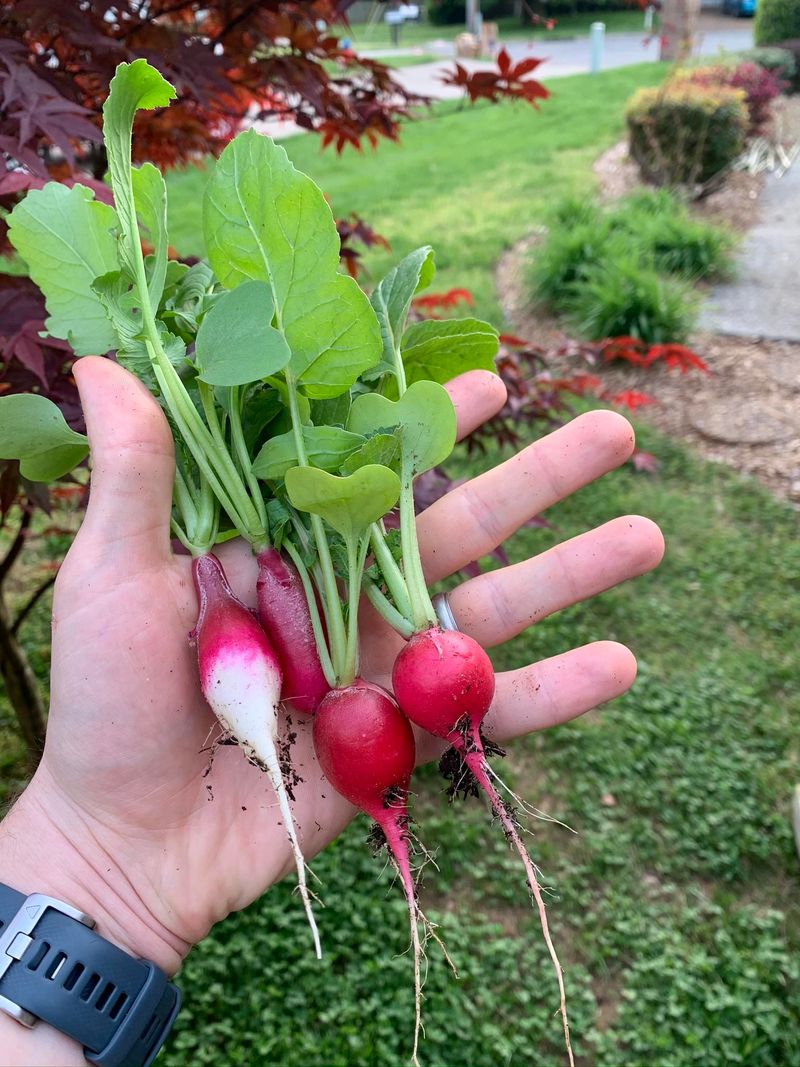 Pick The Perfect Varieties