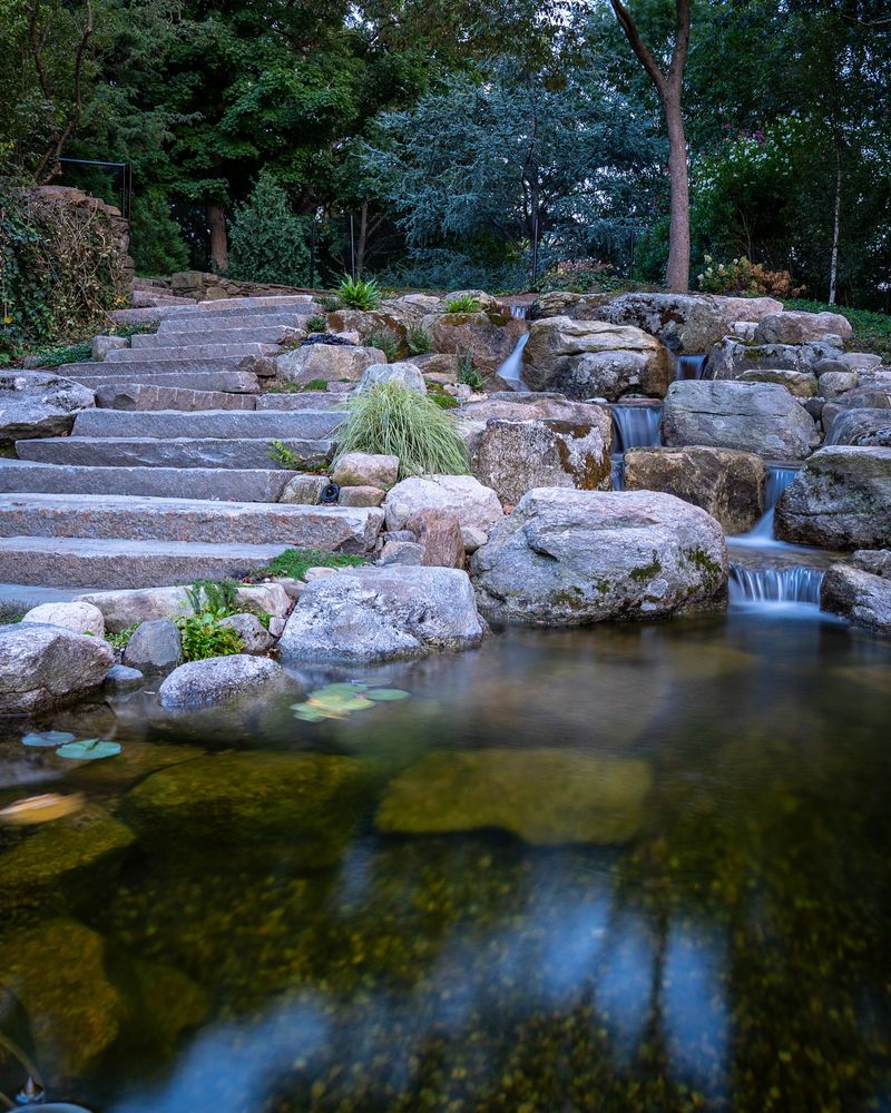 Forgetting Water Features