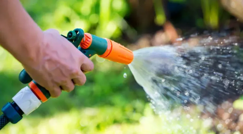 Midday Watering