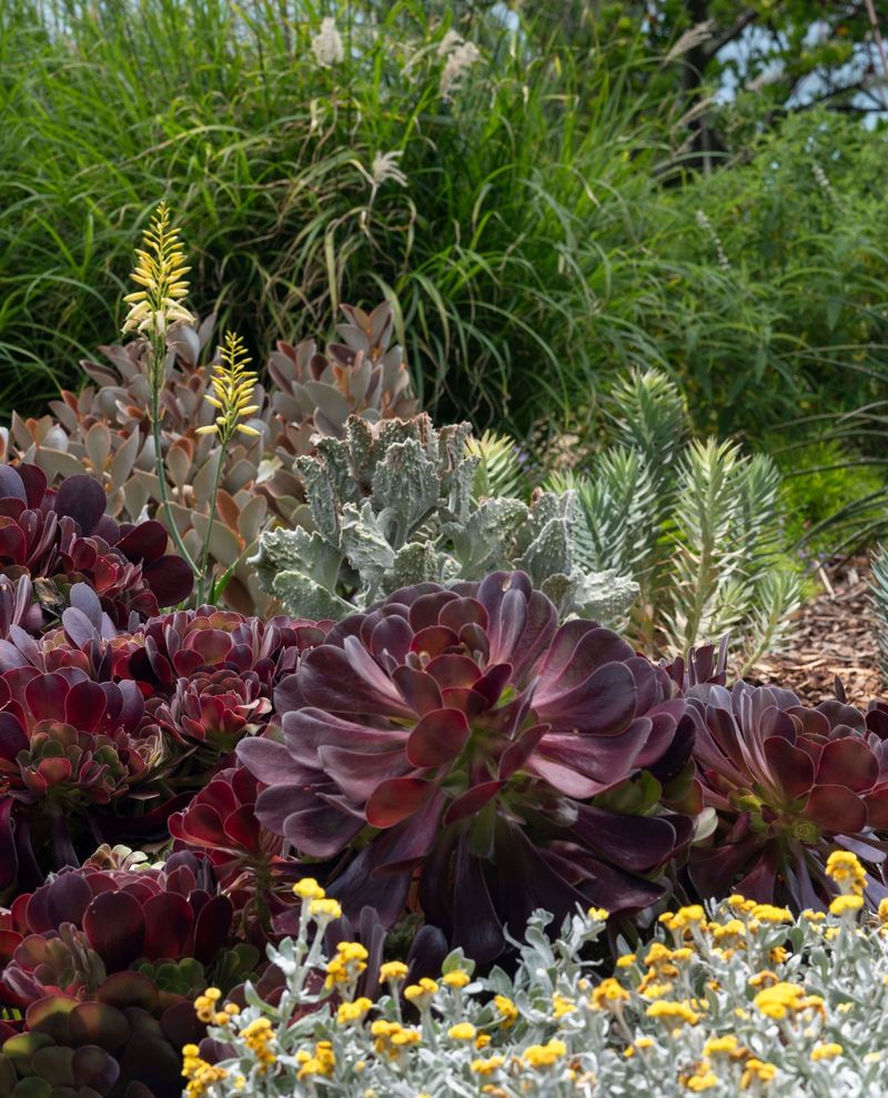 Textural Contrast Groupings