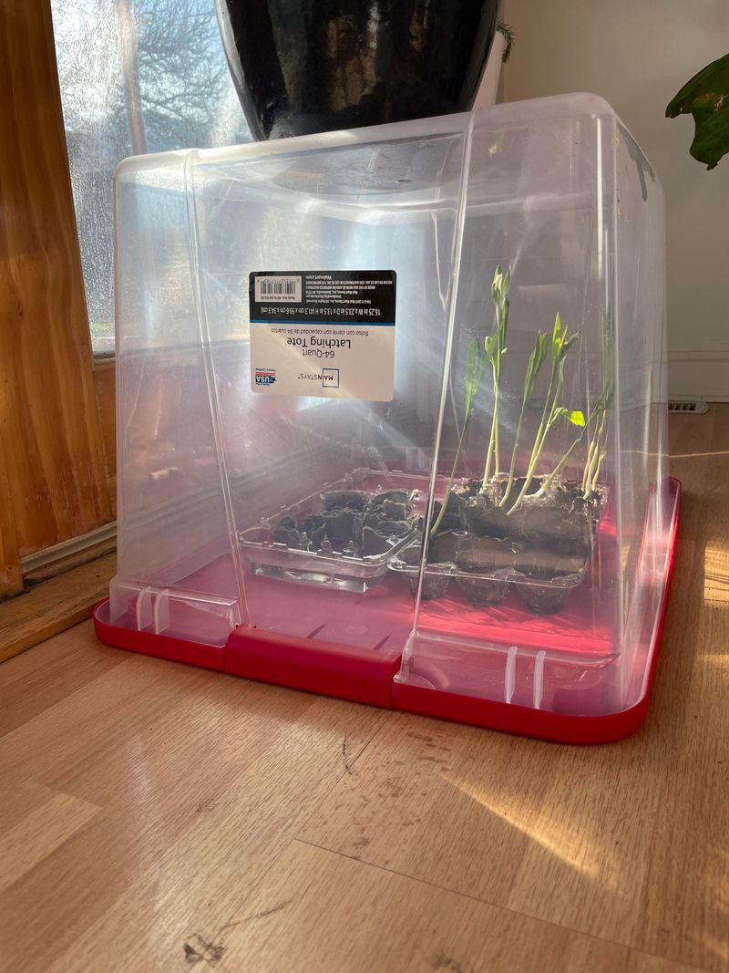 CD Case Mini Greenhouse