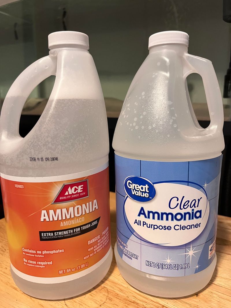 Ammonia Scent