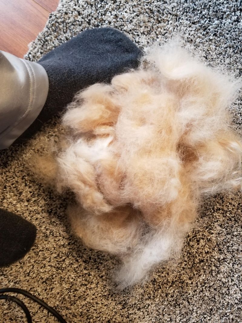 Dog Fur