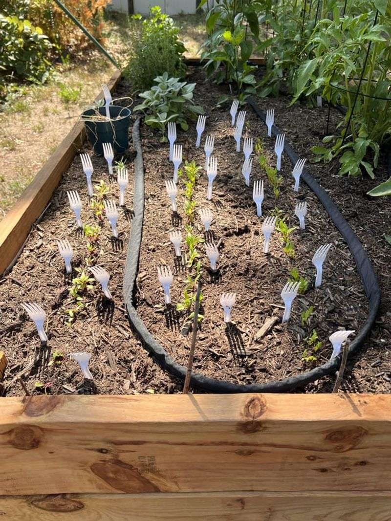 Plastic Forks Method