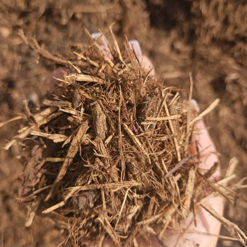 Cedar Chips: Aromatic Barrier