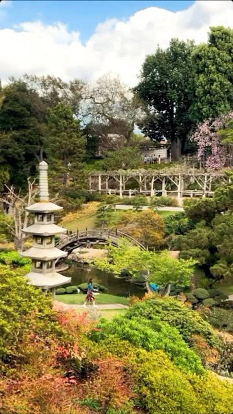 Huntington Botanical Gardens, USA