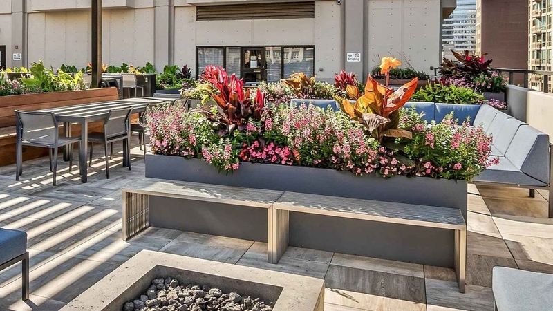 Elevate Containers For Drainage