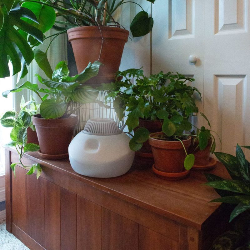Create Humidity With Household Items
