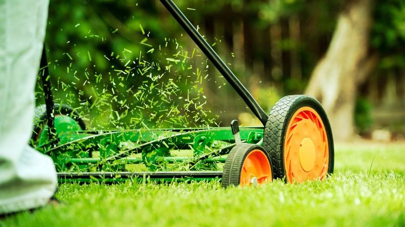 Leave Clippings As Natural Fertilizer