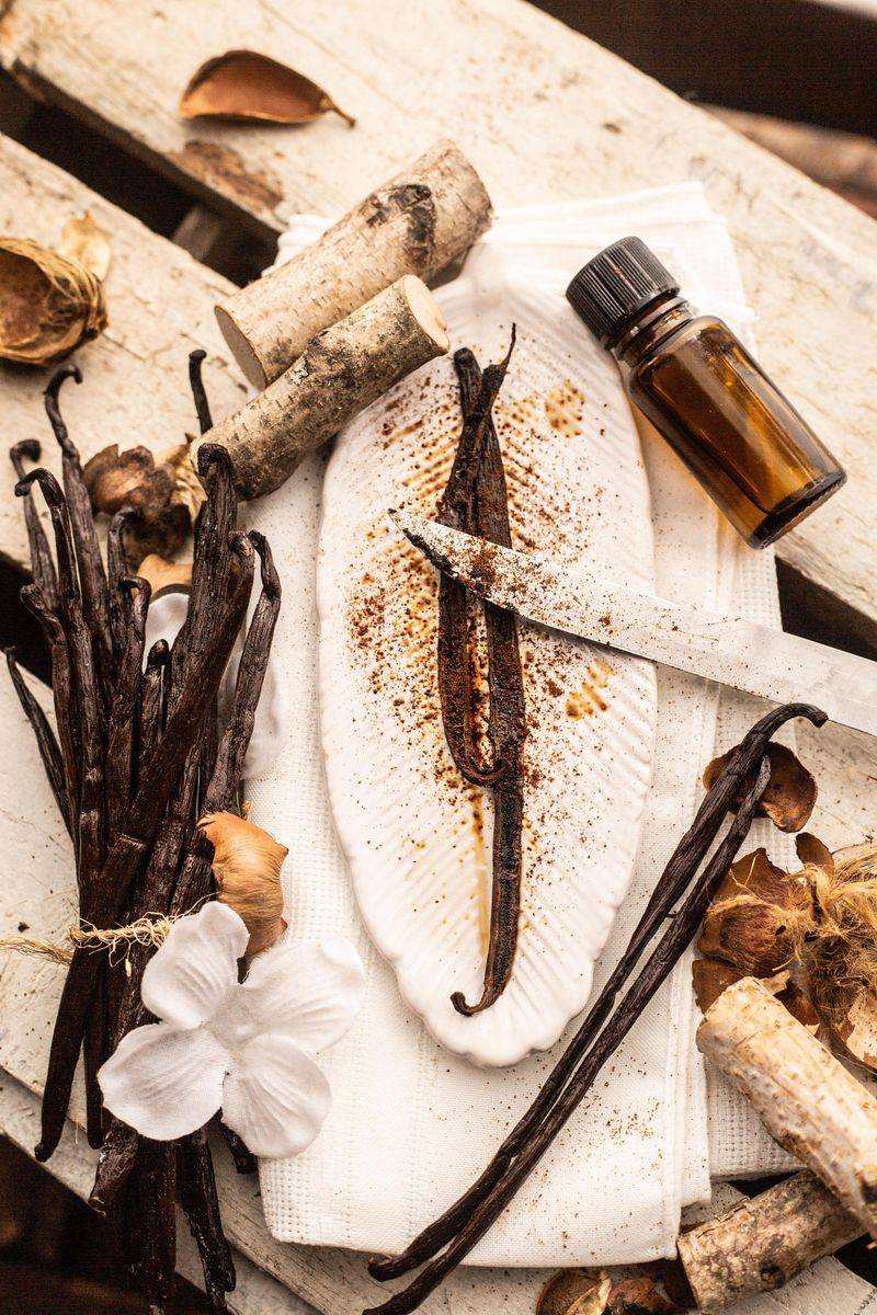 Vanilla - The Comforting Classic