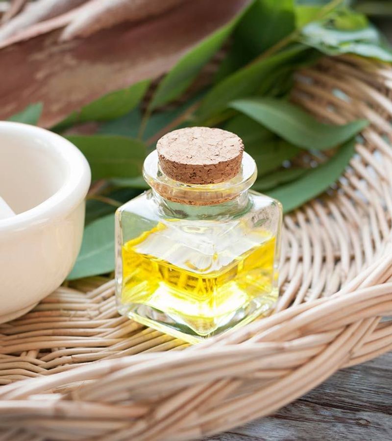 Eucalyptus Oil's Medicinal Menace