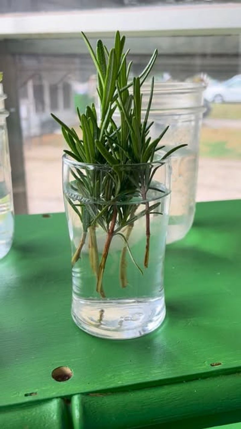 Propagation Ease