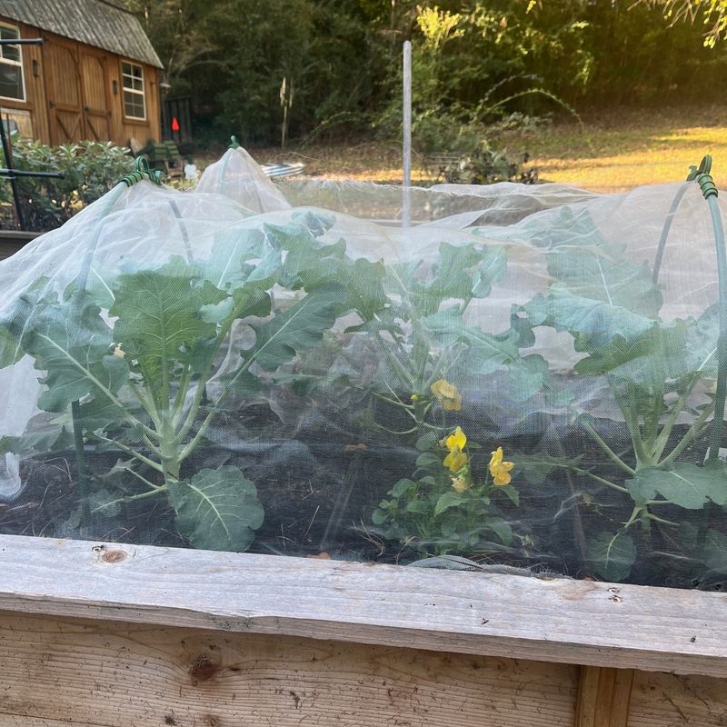 Insect Netting